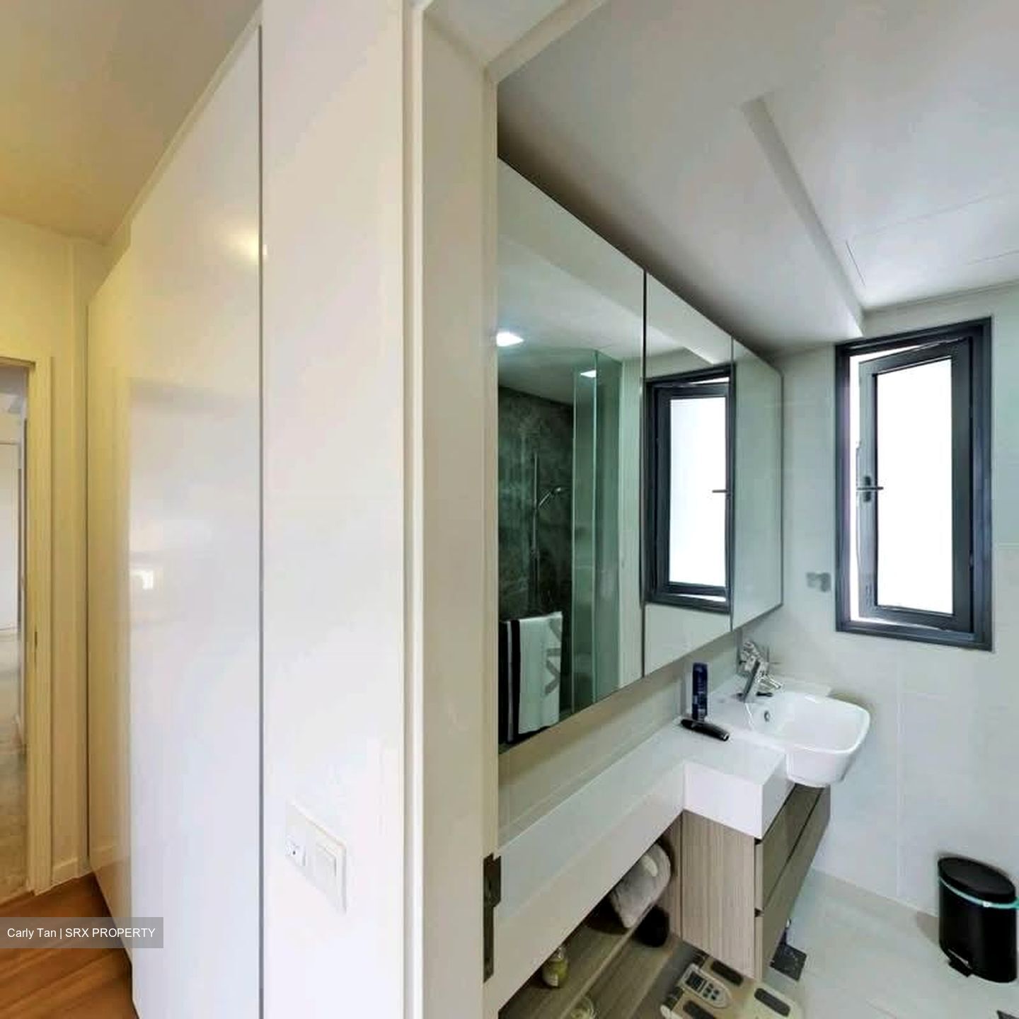 The Lakefront Residences (D22), Condominium #559693141